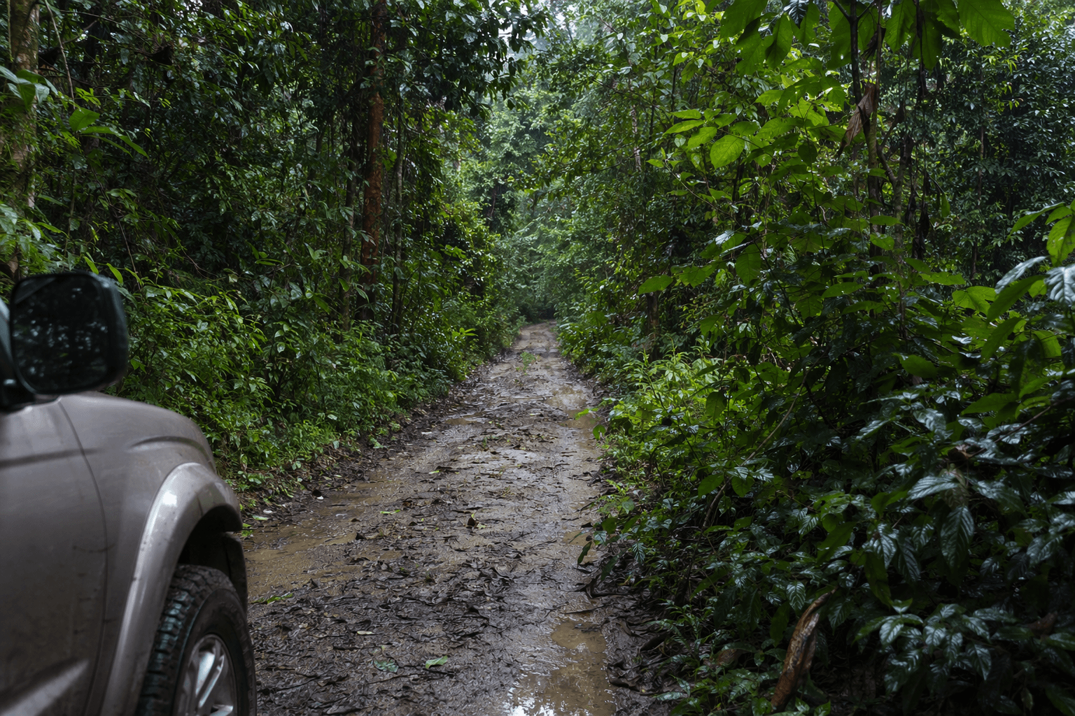 Unpaved dirt road through Costa Rica jungle in rainy season