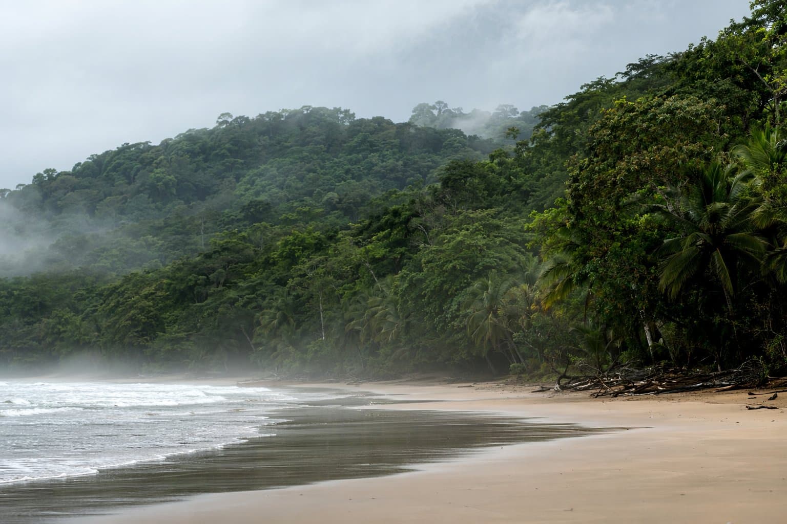 Nosara